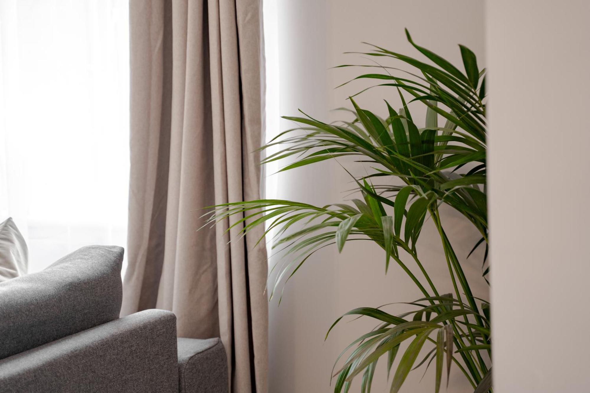 Stylish & Recently Refurbished Chester Apartment - Up To 6 المظهر الخارجي الصورة